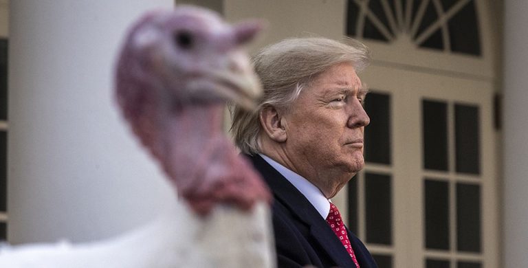 Let’s Get These Turkeys Out of the White House